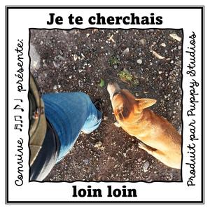 Je te cherchais loin loin