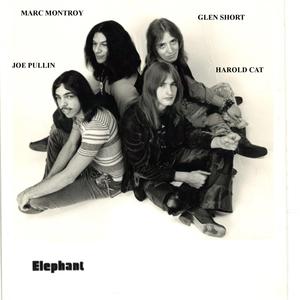 Everybody Needs A Lover