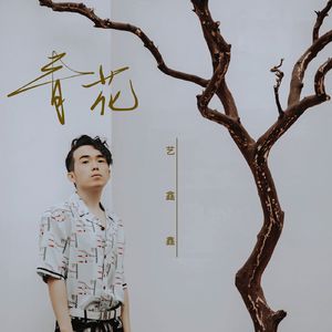 《青花》艺鑫鑫