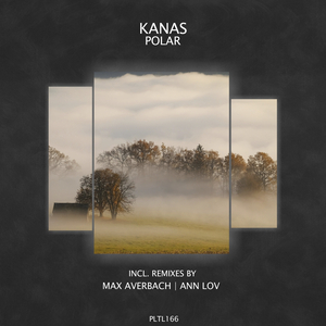 Polar (Max Averbach Remix)