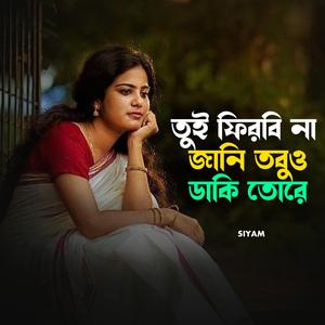 তুই ফিরবি না জানি তবুও ডাকি তোরে