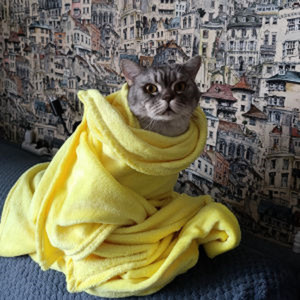 Топор (Original Mix)