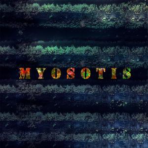 네가 이 노래를 들을리는 없겠지