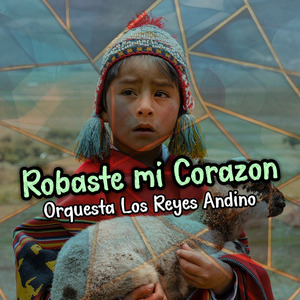 Robaste Mi Corazon