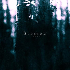 Blossom, Part 3