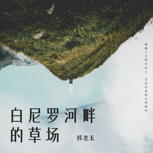 白尼罗河的草场