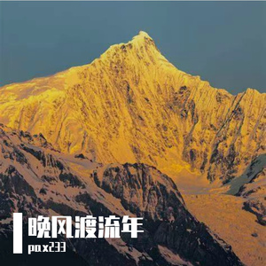温柔抵岁月