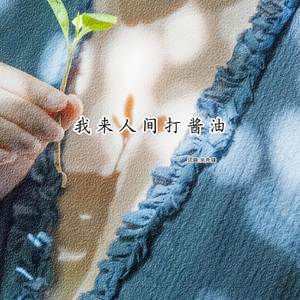 我来人间打酱油