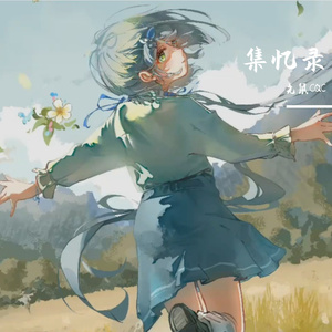 集忆录