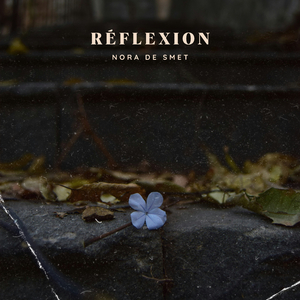 Réflexion