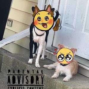 This Track Will Drive You Crazy