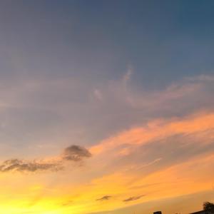 你就不要想起我