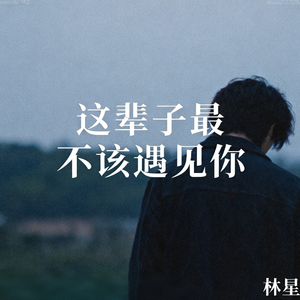 这辈子最不该遇见你