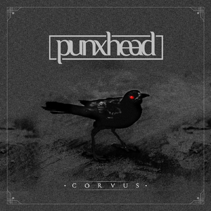 Corvus