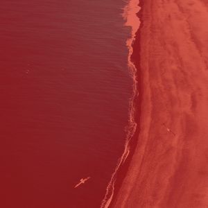 柔和的周日的早午餐时刻