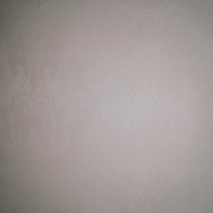 我在抖音等你