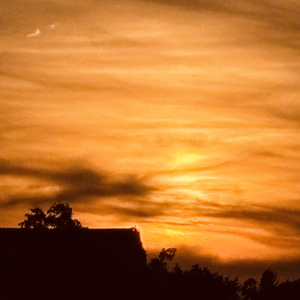 Noch Einen X Ilpds_mn