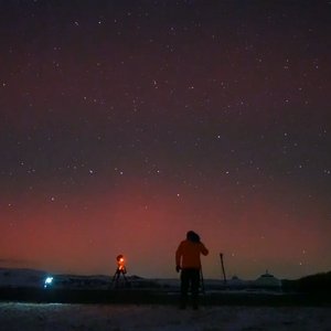 你是人间三月天