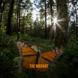 The Migrant