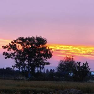 乡愁回忆录 （Prod by Youngblood City）