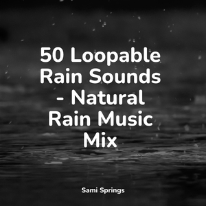 Rustling Woodland Gales