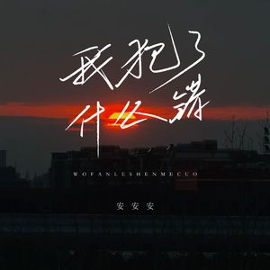 我犯了什么罪