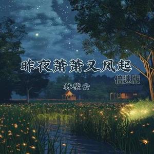 昨夜萧萧又风起 - 0.9X