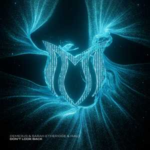 Don't Look Back (Extended Mix)