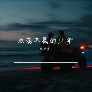 放荡不羁的少年
