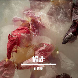 偷走-萧煌奇（Cover修瑾）