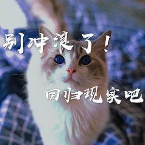 别冲浪了！回归现实吧