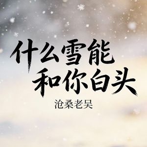 什么雪能和你白头