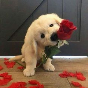 unforgettable (Sped up)