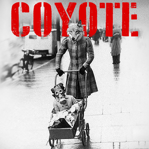 Coyote