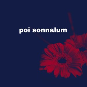Poi Sonnalum