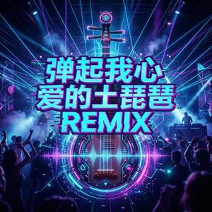 弹起我心爱的土琵琶 (民乐DJ)(Cover 蒋大为)