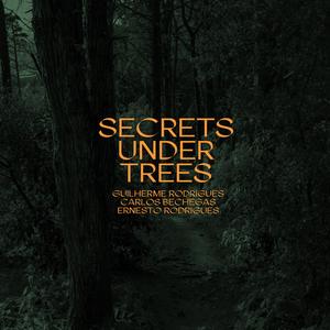 Despite The Storm (feat. Carlos Bechegas & Ernesto Rodrigues)