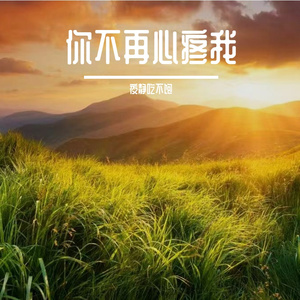 你不再心疼我