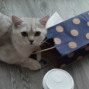终于等到你