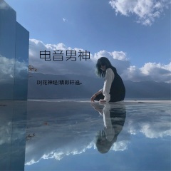 极至纯音 (DJ版)