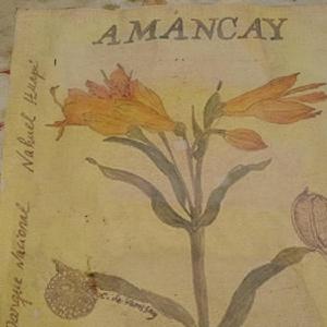 Invade el verde (by Asdrual)