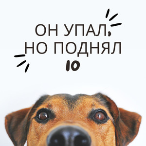 ОН УПАЛ, НО ПОДНЯЛ 10