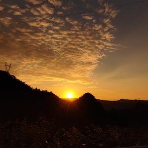 天使的翅膀-原唱安琥