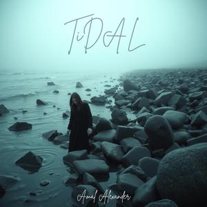 Tidal