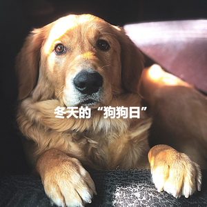 Grand Saxophone Jazz - Vibe for Everlasting Memories