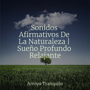 Momentos Tranquilos De Plata