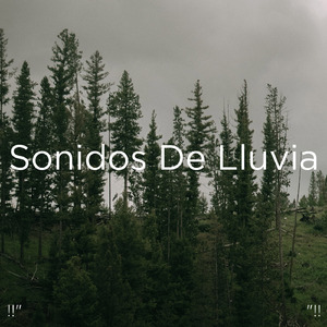 睡眠のための雨の音