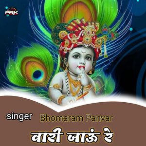वारी जाऊं रे