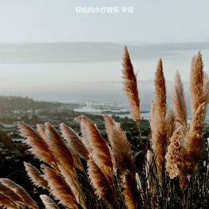 抚慰的水疗日回忆