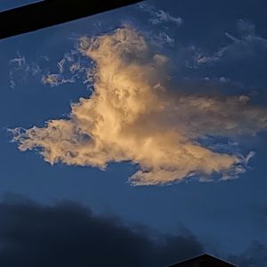 刘晨-我还有点小糊涂(Remix)